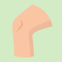 Knee